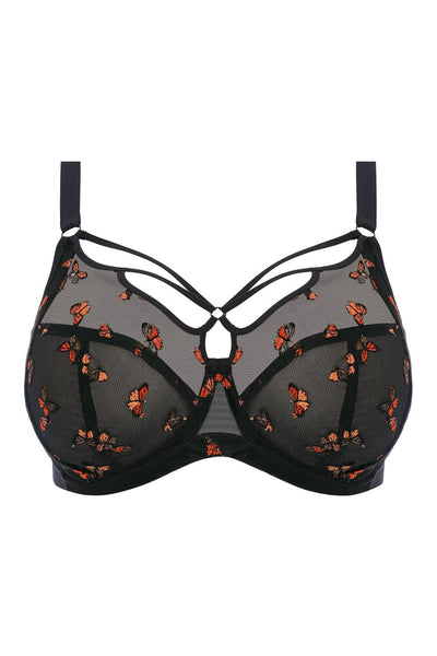 Elomi Sachi Plunge Bra, Black Butterfly (EL4353)