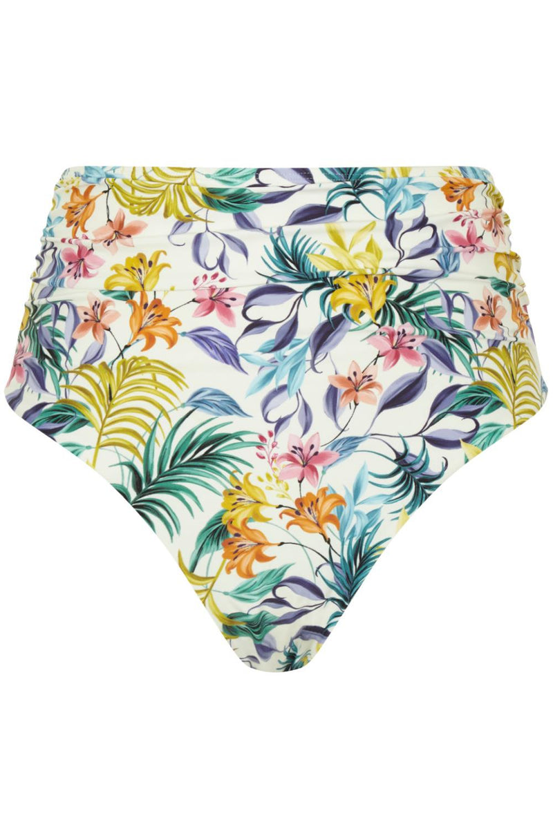 Panache Botanical Swim High Waist Brief, Floral Print (SW1679)