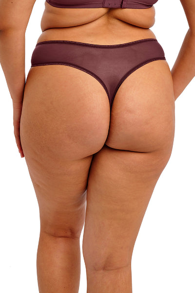 Elomi Matilda Thong, Sugarplum (EL8907)