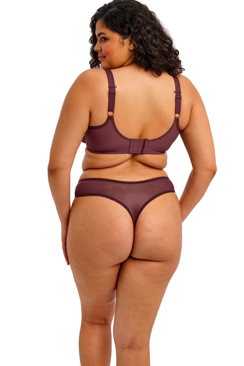 Elomi Matilda Thong, Sugarplum (EL8907)