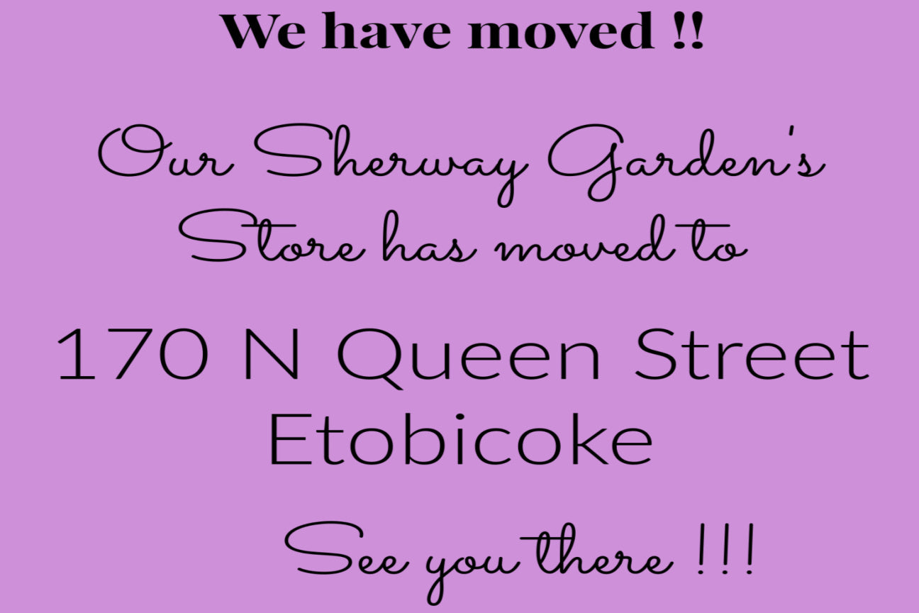 My Top Drawer - Fine Lingerie & Swimwear - Ontario, Canada