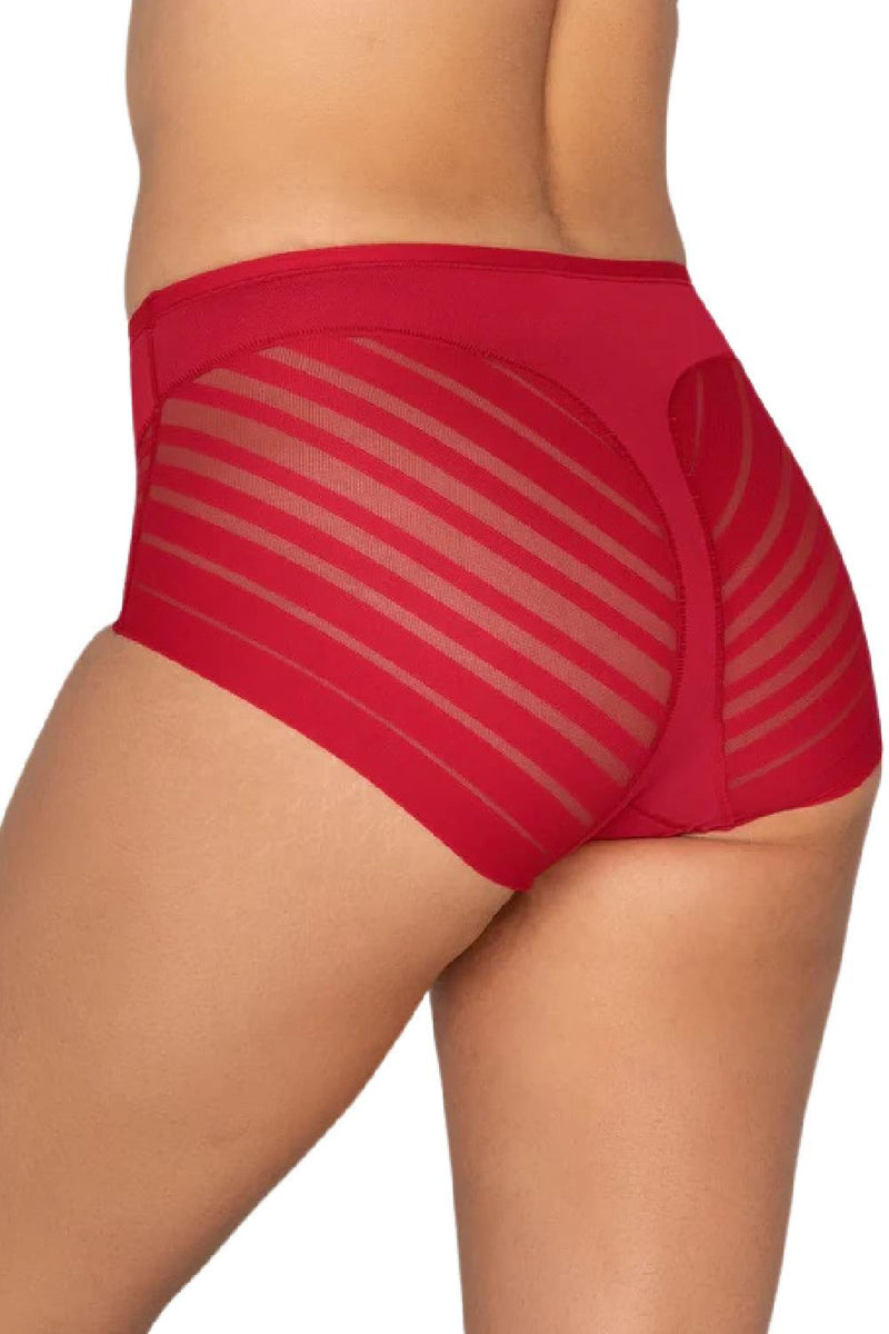 Leonisa Lace Stripe Undetectable Classic Shaper Panty, Red (012903)