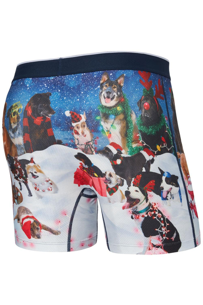 SAXX Volt Boxer Brief SXBB29-DOG (Dogs of Saxxmas-Blue)