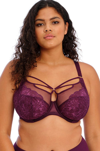 Elomi Brianna Plunge Bra, Blackberry (EL8080)