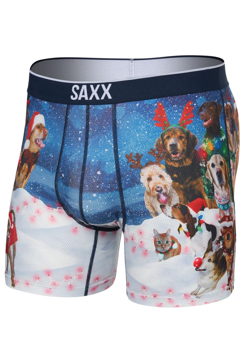SAXX Volt Boxer Brief SXBB29-DOG (Dogs of Saxxmas-Blue)