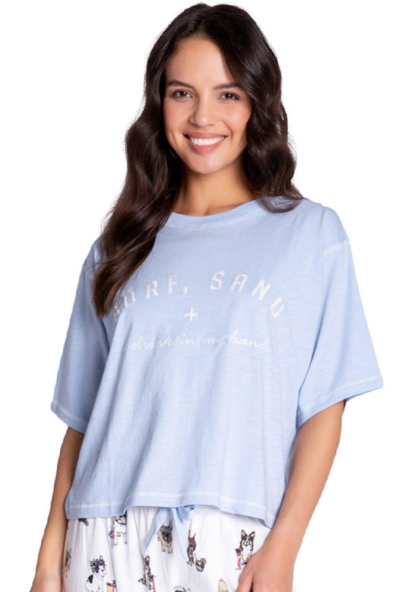 PJ Salvage Sunset Stripes S/S T-shirt RDSST2-ICE BLUE