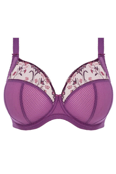 Elomi Charley Plunge Bra, Pansy (EL4380)