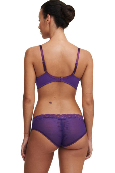 Passionata Brooklyn Hipster Panty, Pansy (5704)
