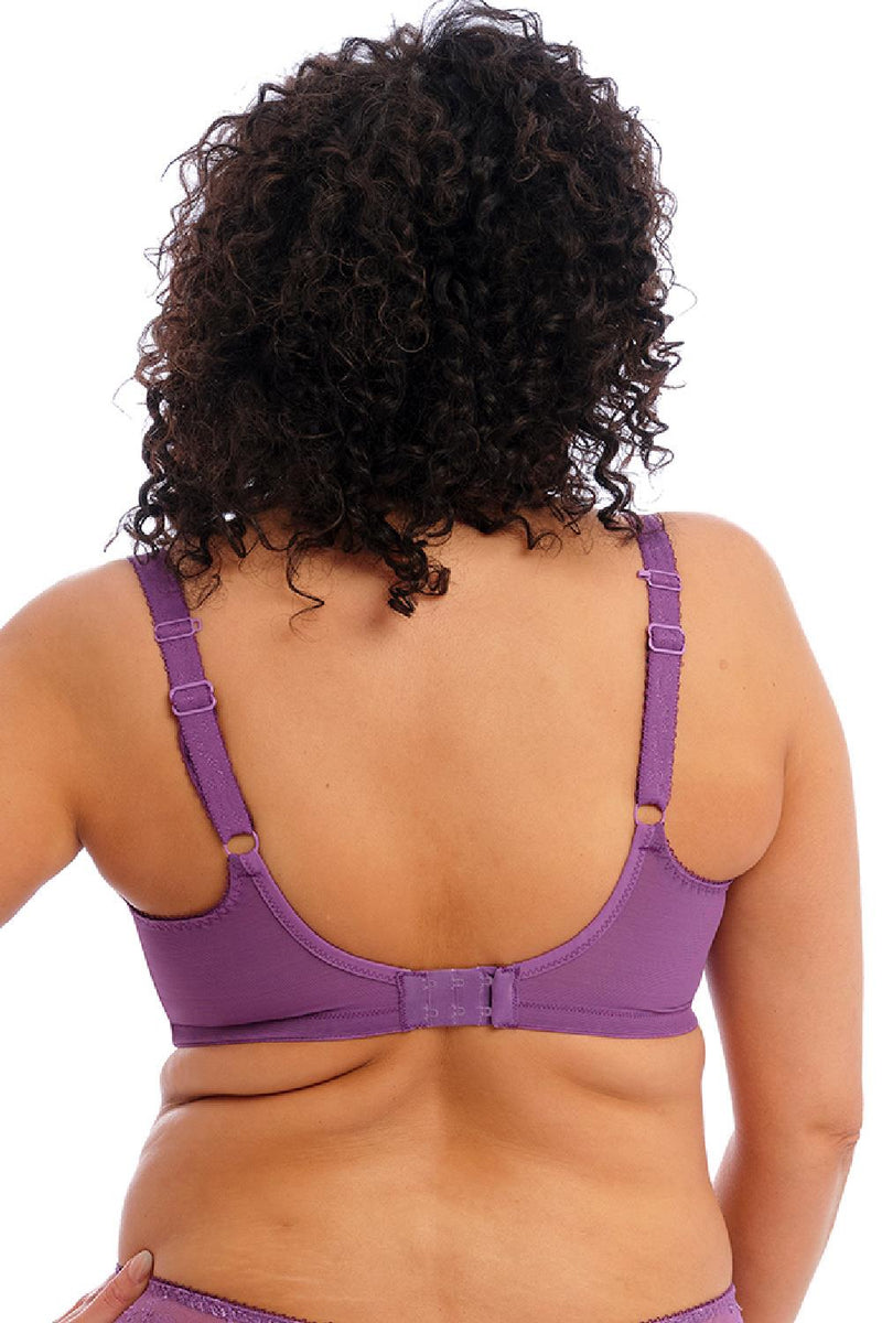Elomi Charley Plunge Bra, Pansy (EL4380)