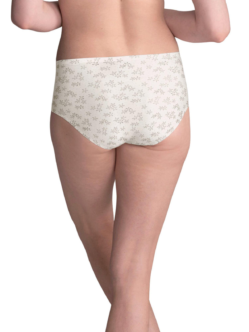 Anita Clara Art High Waisted Brief, Crystal (1346)