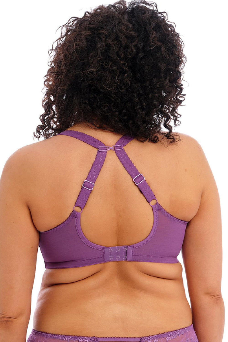 Elomi Charley Plunge Bra, Pansy (EL4380)