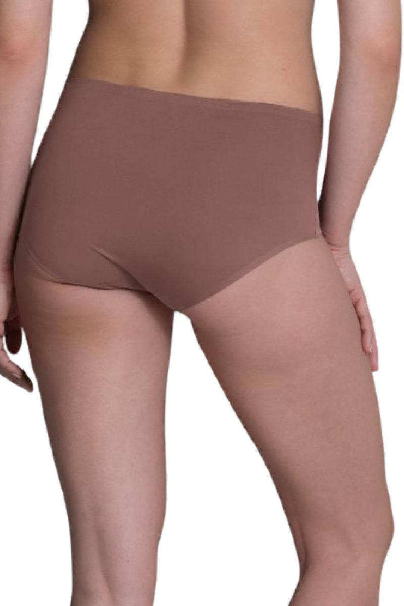 Anita Essentials High Waist Brief+, Berry (1343)