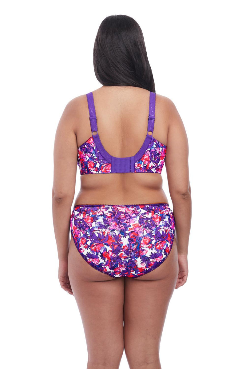 Elomi Morgan Banded Bra 4110 Carnival