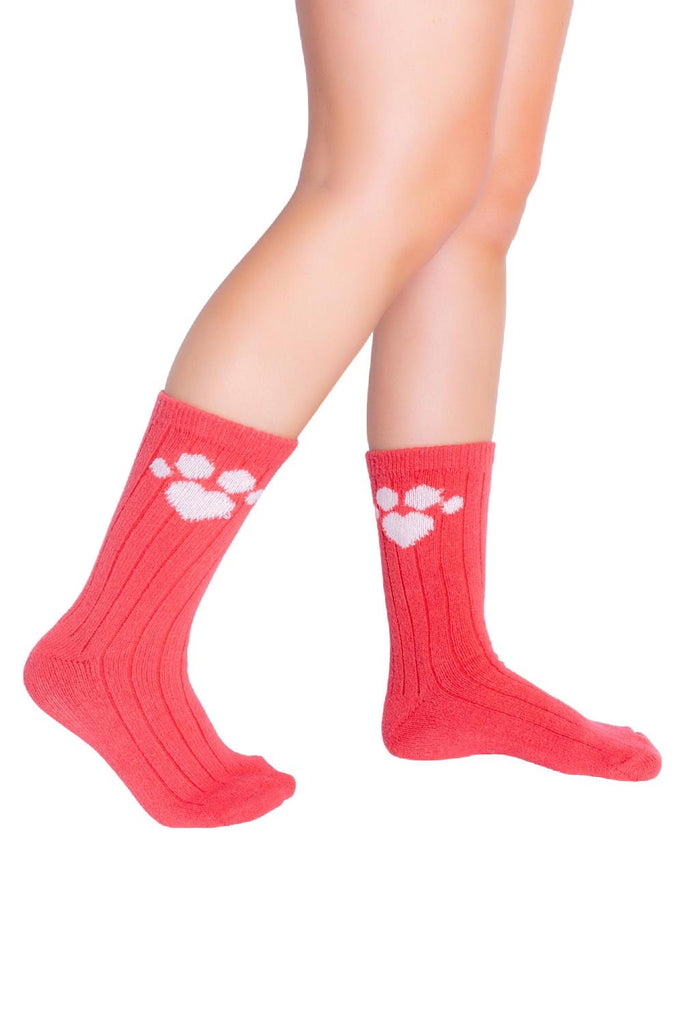 PAWSITIVE VIBES Socks RZFX3-BURNT-RED – My Top Drawer