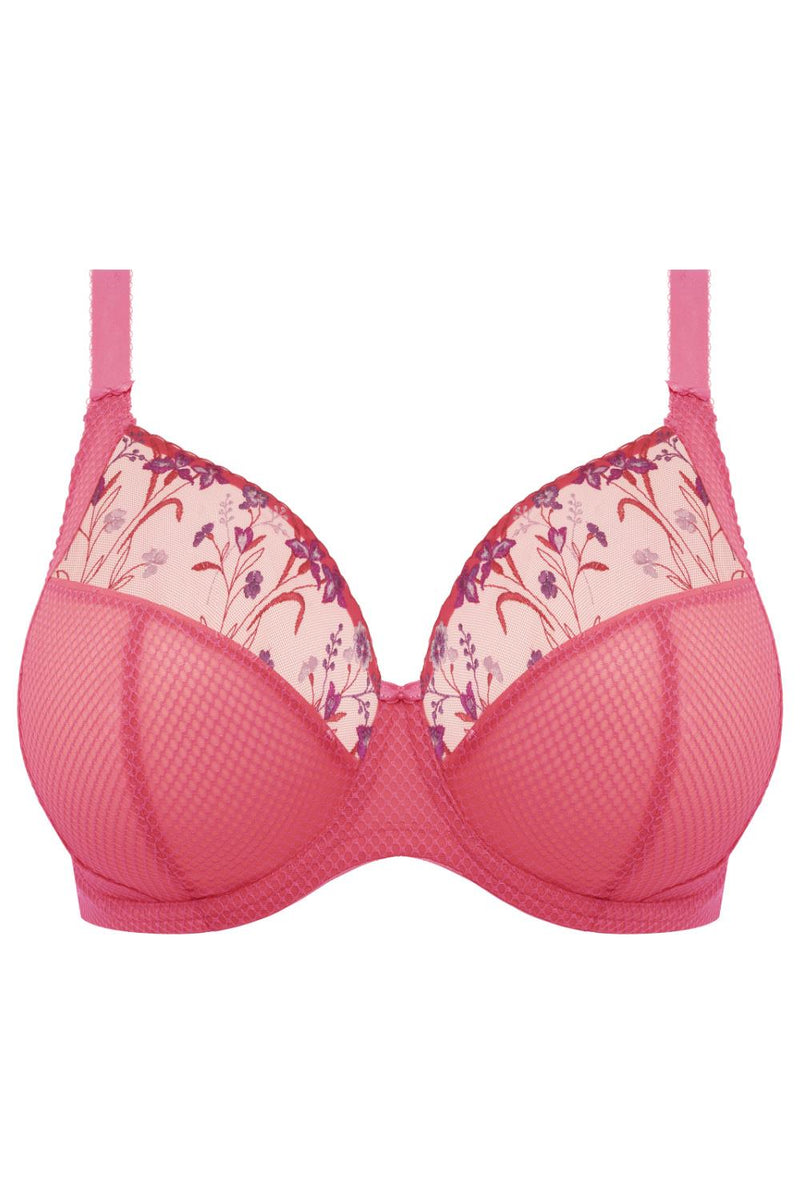 Elomi Charley Plunge Bra EL4380 Honeysuckle – My Top Drawer