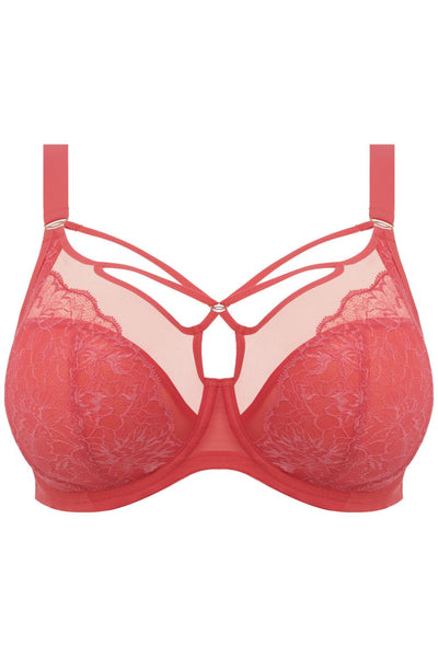 Elomi Brianna Plunge Bra, Cayenne (EL8080)