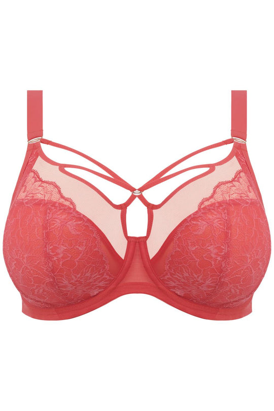 Elomi Brianna Plunge Bra, Cayenne (EL8080)