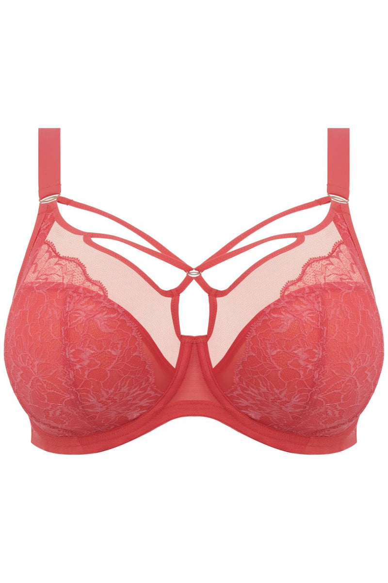 Elomi Brianna Plunge Bra, Cayenne (EL8080)