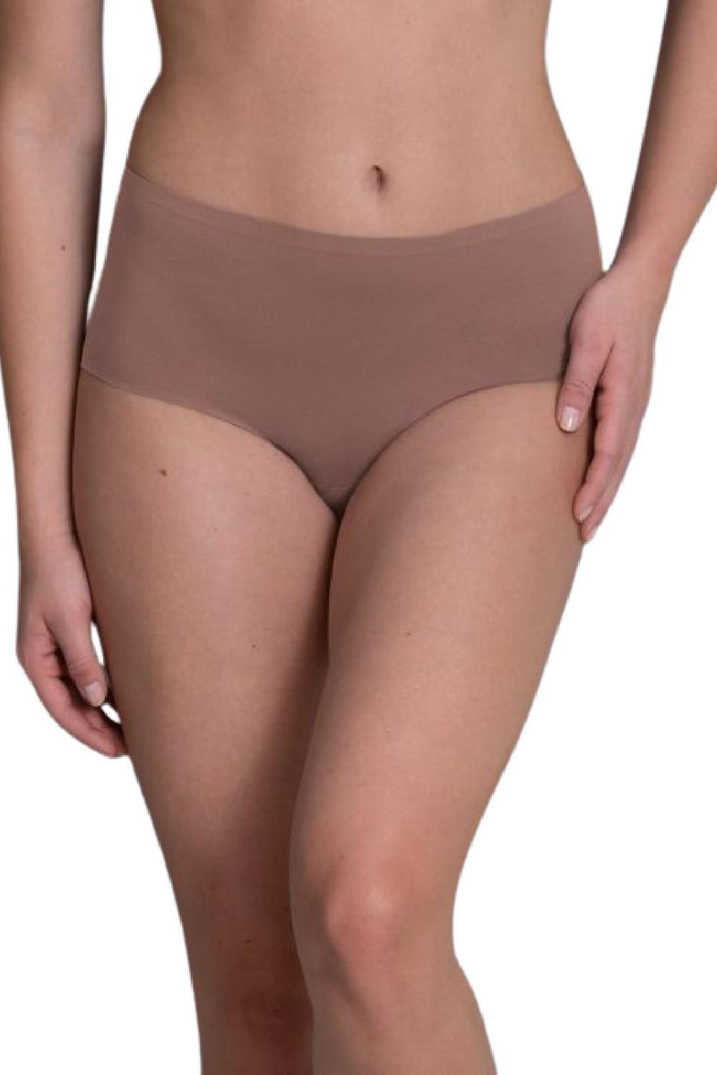 Anita Essentials High Waist Brief+, Berry (1343)