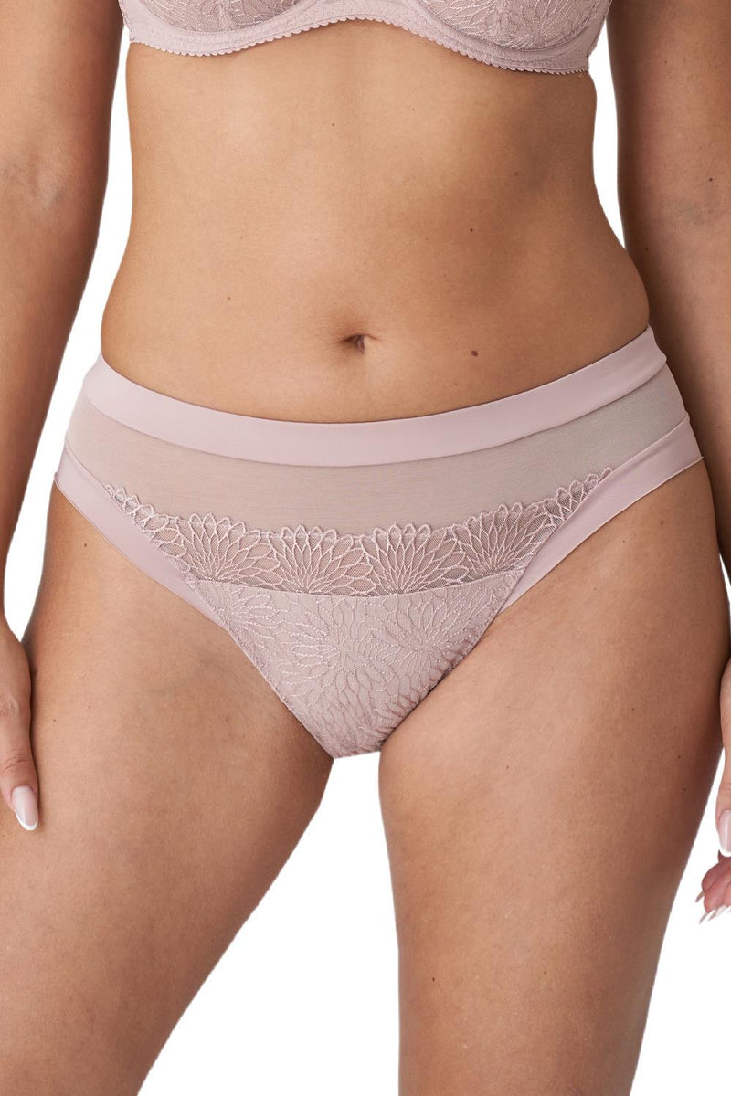 PrimaDonna Sophora Rio Briefs, Rosewood (0563180)